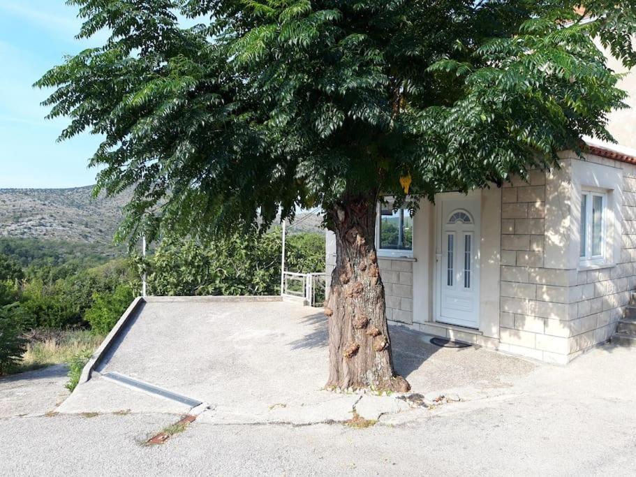 Apartment Harmony - With Free Parking Doli Екстер'єр фото